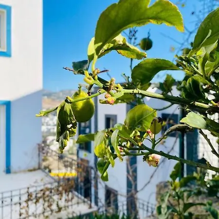 Hotel A Triplex With Overlooking The Sea *
